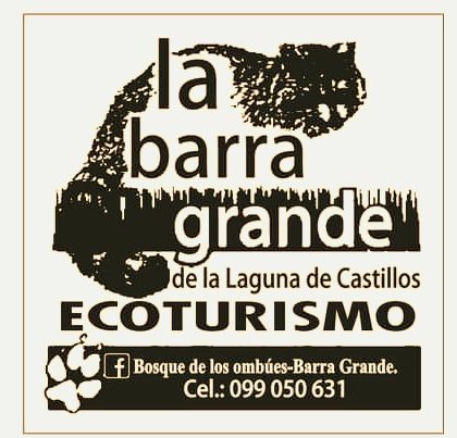 Bosque de ombúes-Barra Grande