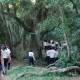 Icono del sitio